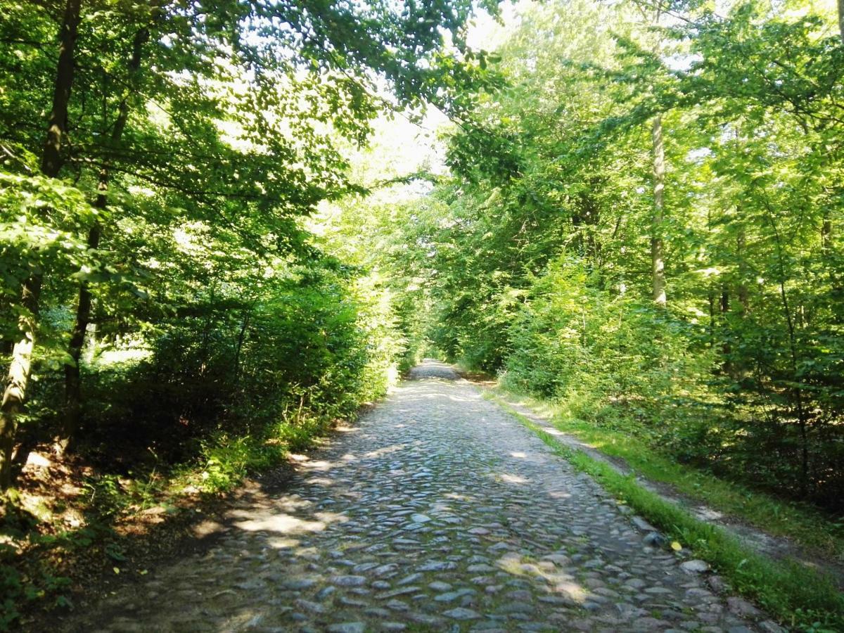 Agroturystyka Ginkgo Sulislaw  Экстерьер фото